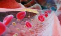 三维人体癌症细胞被消灭痊愈：医学免疫学动画制作