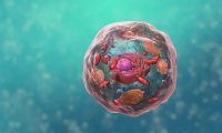 生物科技细胞内部结构解析：医学三维动画制作公司